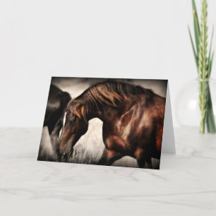 Band Stallion Greeting Card