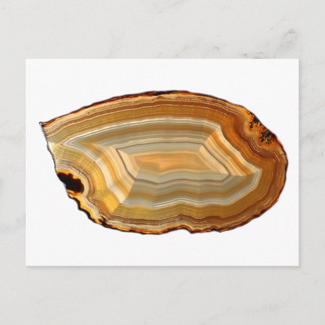 Banded Agate Slice Backlit Photo Postcard (Front)