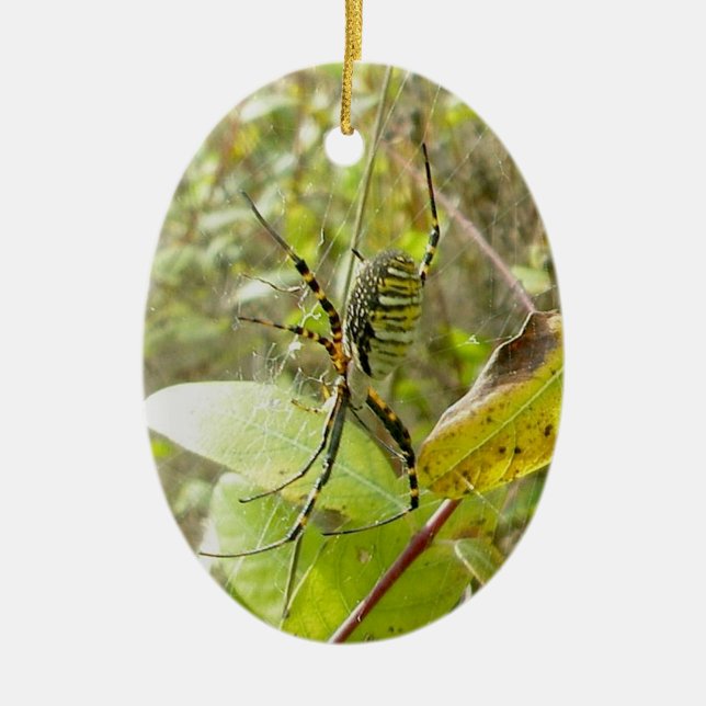 Banded Argiope Spider Christmas Ornament (Front)