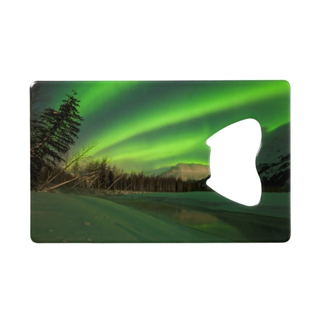 Banded Aurora (Back Horizontal)