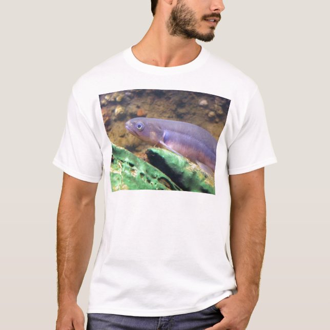 Banded Kokopu T-Shirt (Front)