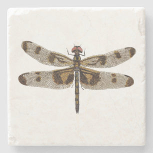Banded Pennant Dragonfly Coaster
