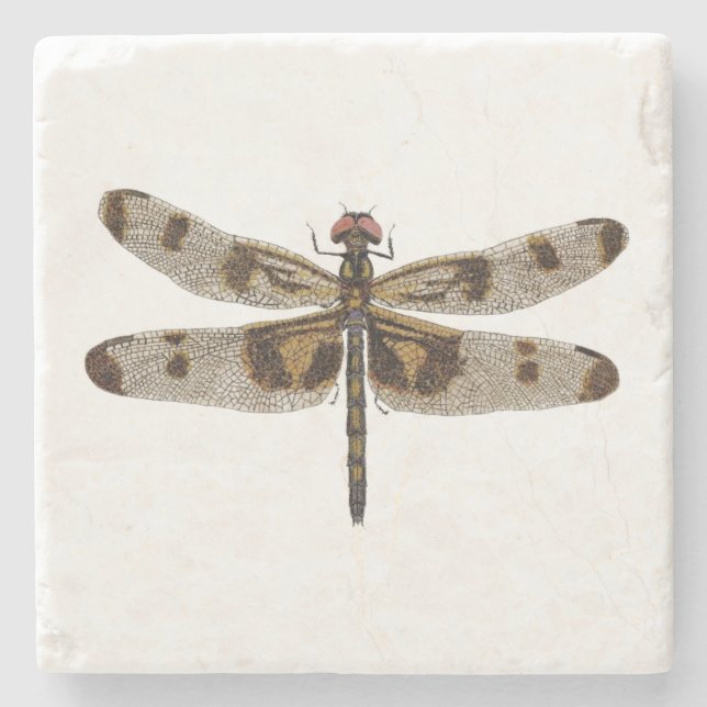 Banded Pennant Dragonfly Coaster (Front)