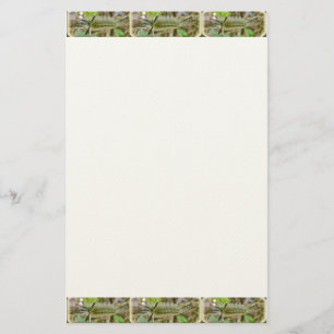 Banded Tussock Moth Caterpillar Stationery