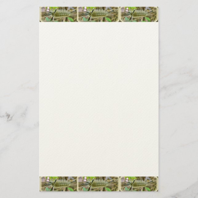 Banded Tussock Moth Caterpillar Stationery (Front)