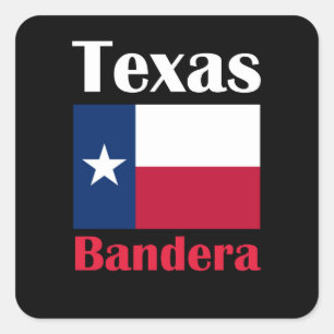 Bandera TX Square Sticker