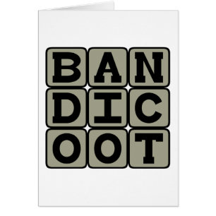 Bandicoot, Marsupial Omnivore