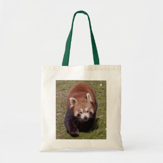 Bandit Bag