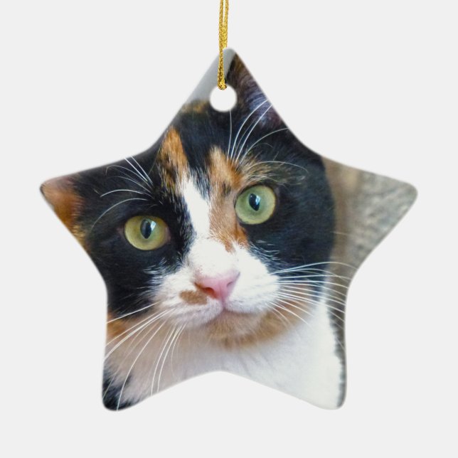 Bandit Ceramic Tree Decoration (Front)