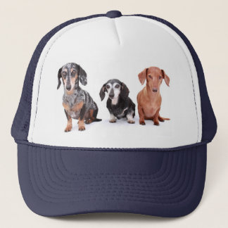 bandit daisy rusty 1 trucker hat