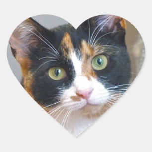 Bandit Heart Sticker