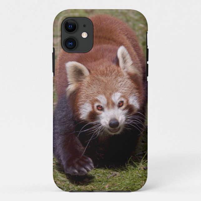 Bandit iPhone 5 Case-Mate Case (Back)