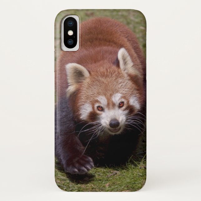 Bandit iPhone X Case (Back)