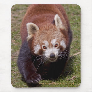 Bandit Mousemat