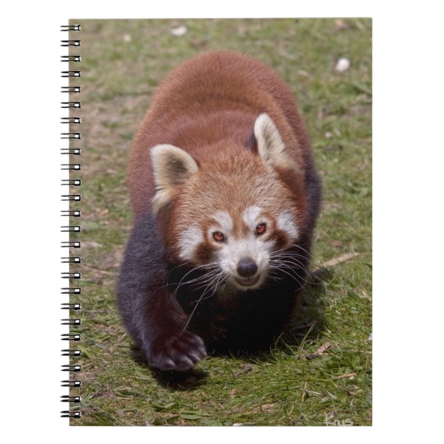 Bandit Notebook (Front)
