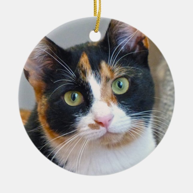 Bandit the Calico Cat Ceramic Ornament (Front)