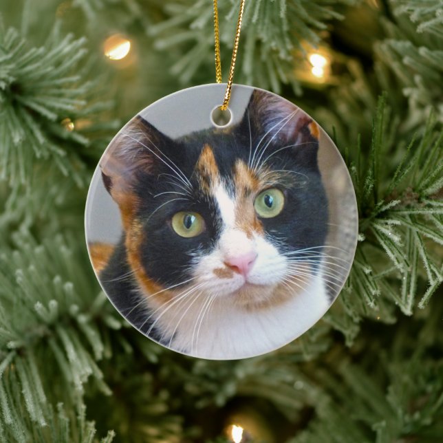 Bandit the Calico Cat Ceramic Tree Decoration (Tree)