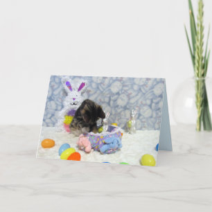 Bandit the Cat's Easter Greeting Card