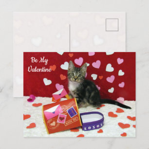 Bandit The Cat's Valentine Mailbox Postcard