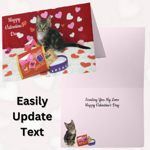 Bandit The Cat's Valentine's Mailbox Greeting Card