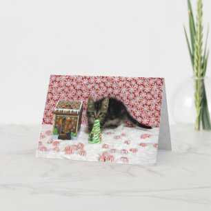Bandit's Candy Christmas - Cat / Kitten Card