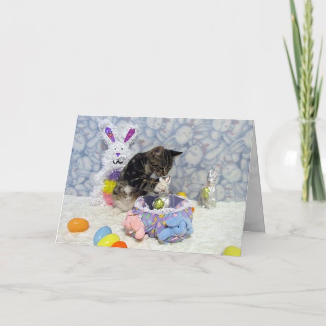 Bandit's Easter (3420) Greeting Card (Front)