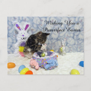 Bandit's Easter U.S. Postcard (3420)