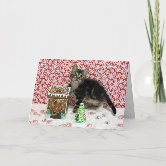 Bandit's Gingerbread - Cat / Kitten Christmas Card (Front)