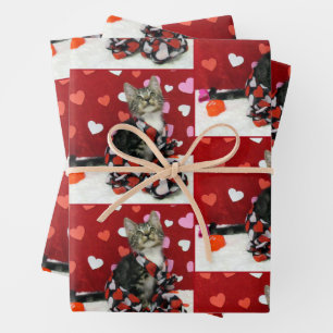 Bandit's Love - Cat / Kitten Wrapping Paper Sheets