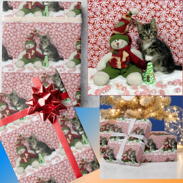 Bandit's Snowman Christmas - Cat Wrapping Paper (Creator Uploaded)