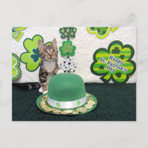 Bandit's St. Patrick's Day Cat / Kitten Postcard