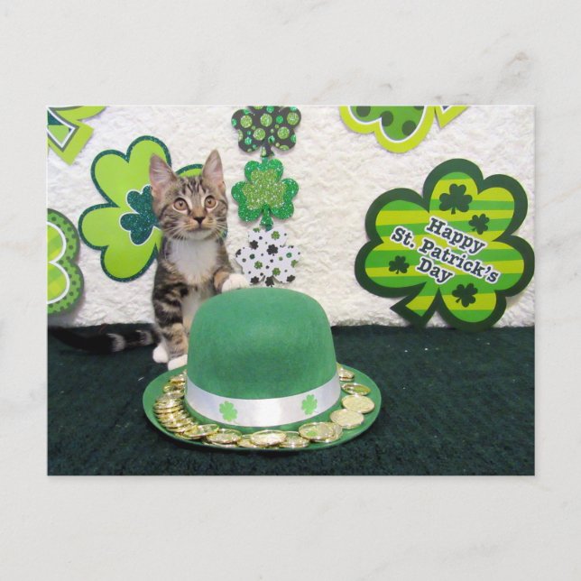 Bandit's St. Patrick's Day Cat / Kitten Postcard (Front)