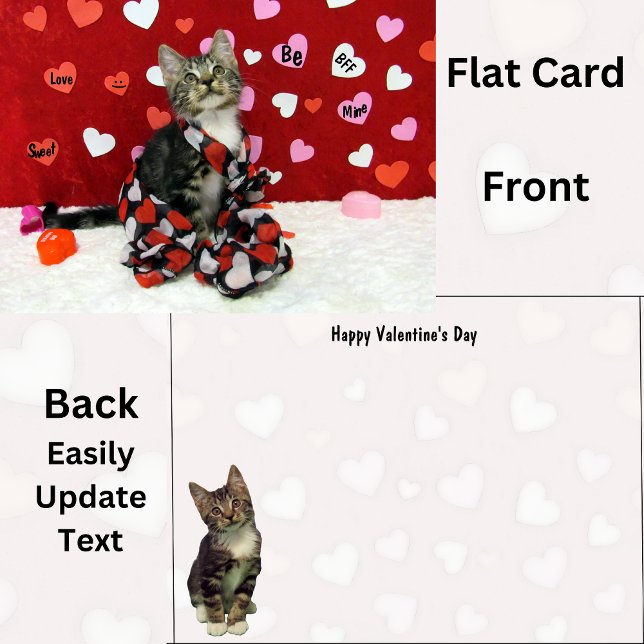 Bandit's The Cat's Valentine's Day Flat Card  (Creator Uploaded)