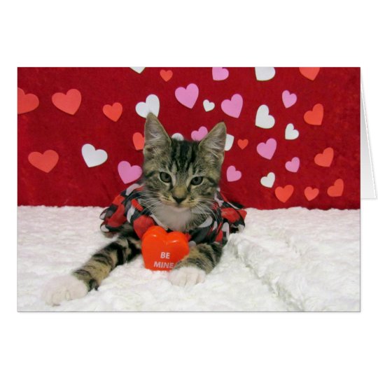 Bandit's Valentine's Card (3350)