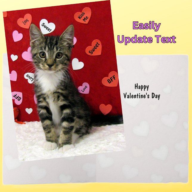 Bandit's Valentine's - Cat / Kitten Valentine Card (Creator Uploaded)