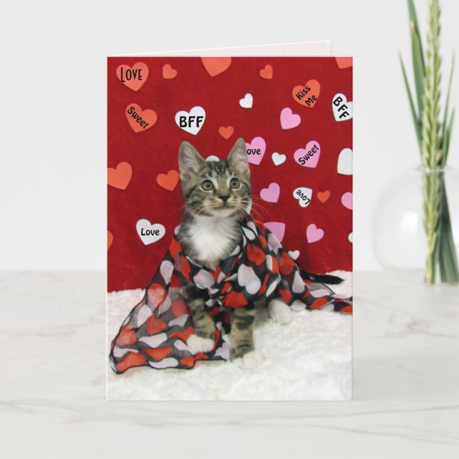 Bandit's Valentine's - Cat / Kitten Valentine's Holiday Card (Front)