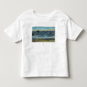 Bandon Beach View of Face Rock, Cat and Kittens Toddler T-Shirt