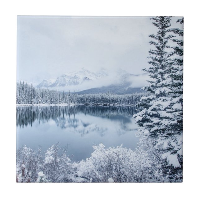 Banff National Park in Winter Tile (Front)