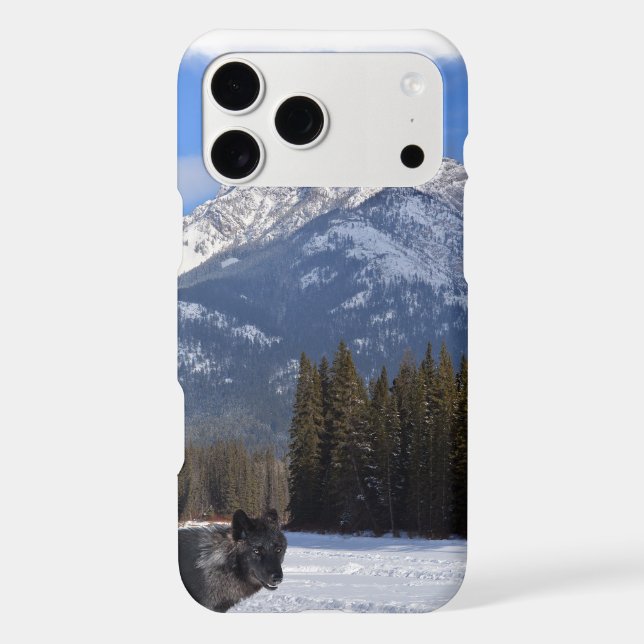 Banff Wolf in Winter with Mt Cascade (Back)