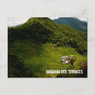 Bangaan Rice Terraces Postcard