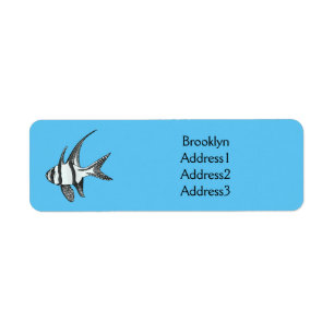 Banggai cardinalfish cartoon illustration