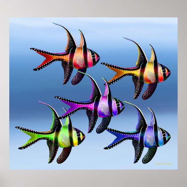 Banggai Cardinalfish Rainbow Poster (Front)