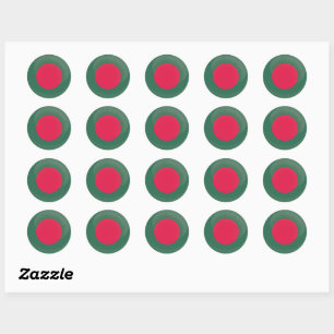 Bangladesh  Round Icon Flag Classic Round Sticker
