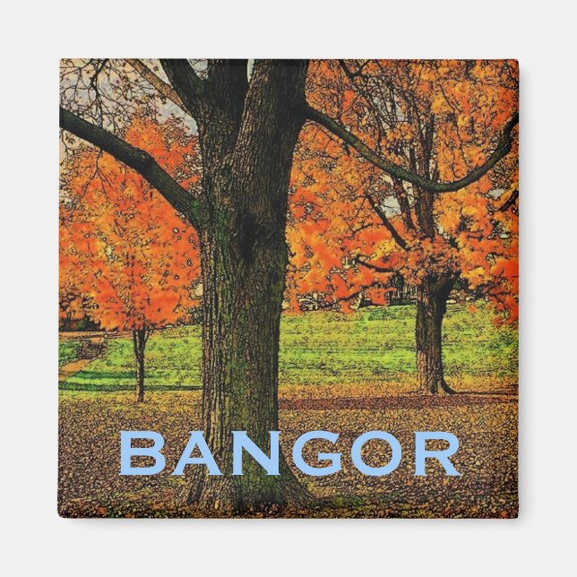 Bangor Magnet (Front)