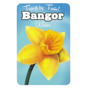 Bangor, Wales vintage Daffodil travel poster Magnet