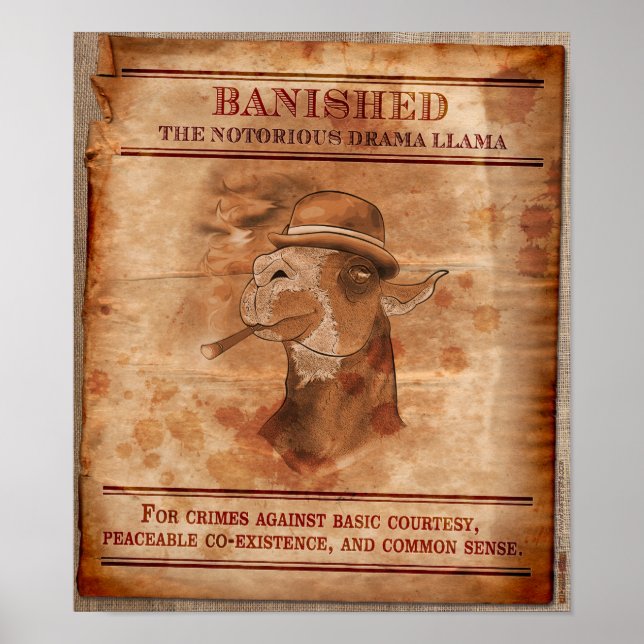 Banish Drama Llamas - 12" x 14" Poster (Front)
