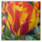 Banja Luka tulip ceramic tile