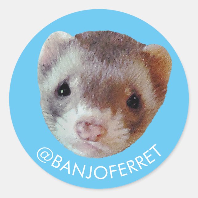 Banjo Face Sticker (Front)