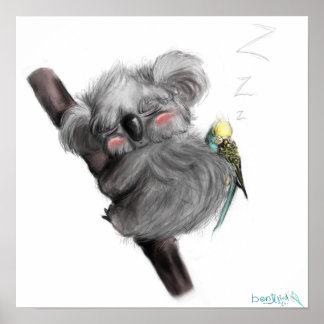 Banjo Koala and Benji Bird Poster