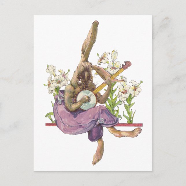Banjo Playing Bunny Postcard (Front)